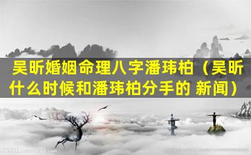 吴昕婚姻命理八字潘玮柏（吴昕什么时候和潘玮柏分手的 新闻）